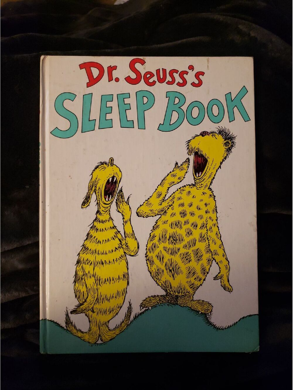 Dr. Seuss's Sleep Book (1962)